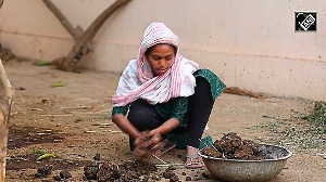 From Waste to Energy: Gujarat's Success Story with Biogas