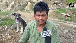 Hero dog saves 63 lives during Himachal flash floods
