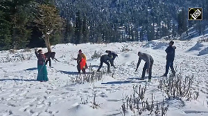 Fresh snowfall turns Bhaderwah into a snowy paradise