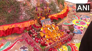 Watch: Govardhan Puja performed in Akshardham Temple, Delhi