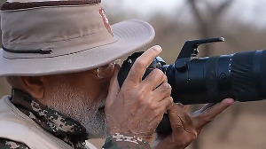 WATCH: PM Modi goes on lion safari on World Wildlife Day