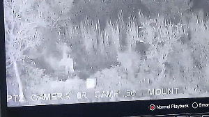 Video: BSF foils 'major' infiltration bid along IB in Samba, kills 7 terrorists