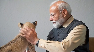 PM Modi visits Anant Ambani's 'Vantara' animal rescue centre