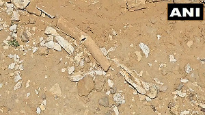 Jurassic-era flying Dinosaur fossil found in Rajasthan village
