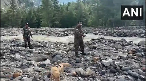 Man's best friend becomes lifesaver in flash flood-hit Dharali